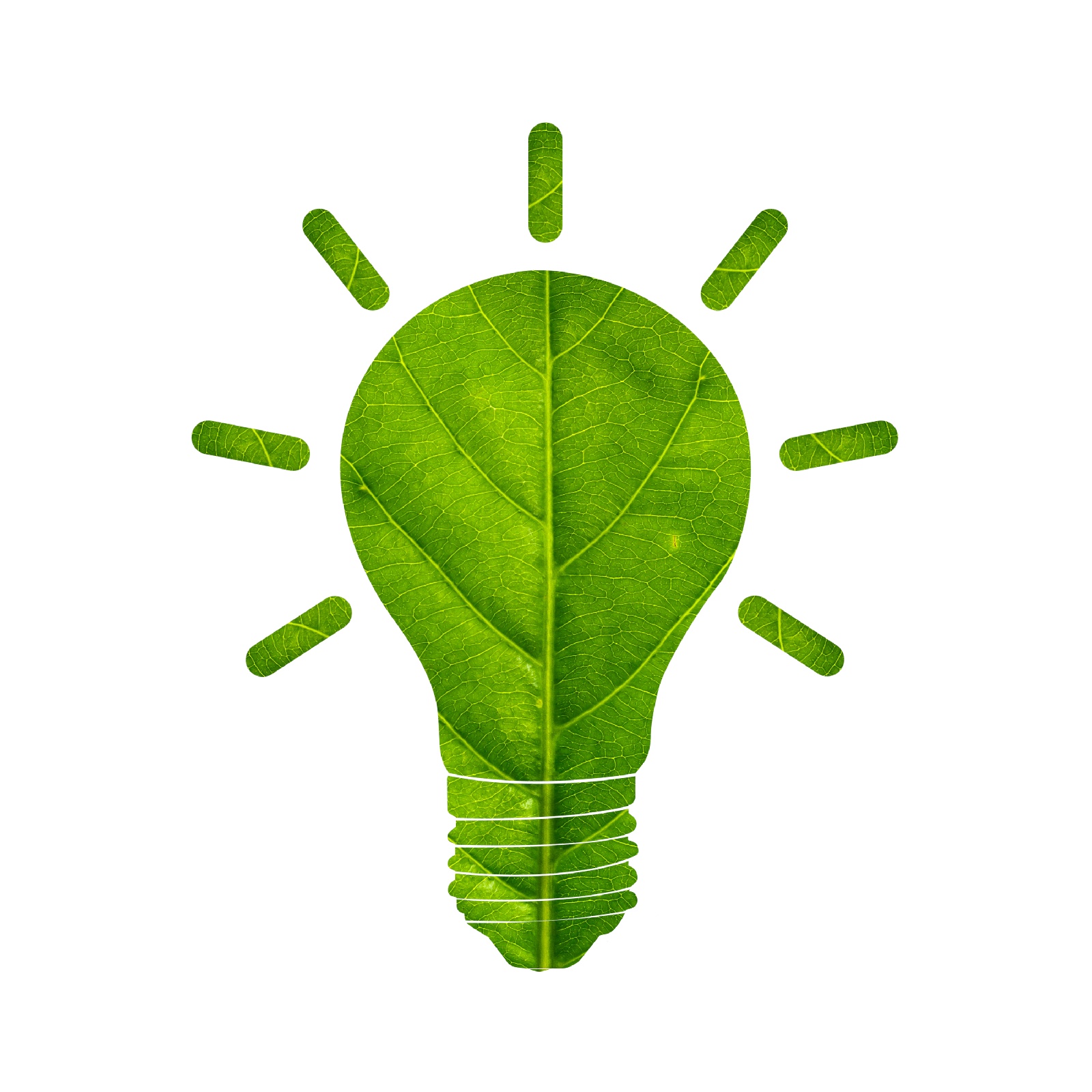 https://www.made2leads.com/assets/templates/5b588d291919a/25153021-0-shutterstock-1728284